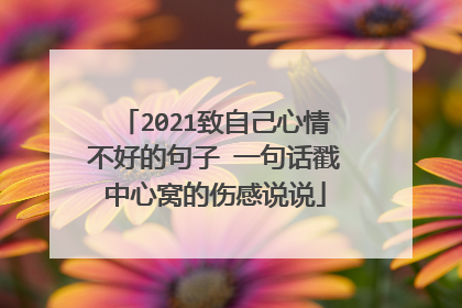 2021致自己心情不好的句子 一句话戳中心窝的伤感说说