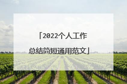 2022个人工作总结简短通用范文