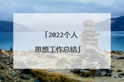 2022个人思想工作总结