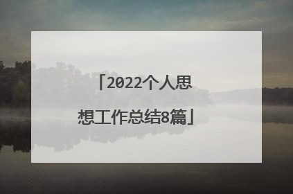 2022个人思想工作总结8篇