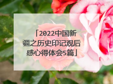 2022中国新疆之历史印记观后感心得体会5篇