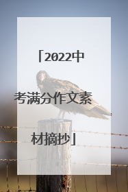 2022中考满分作文素材摘抄