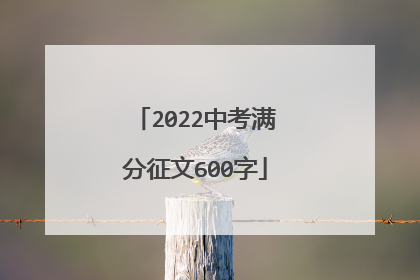 2022中考满分征文600字