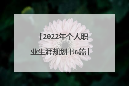 2022年个人职业生涯规划书6篇