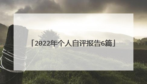 2022年个人自评报告6篇
