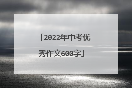 2022年中考优秀作文600字