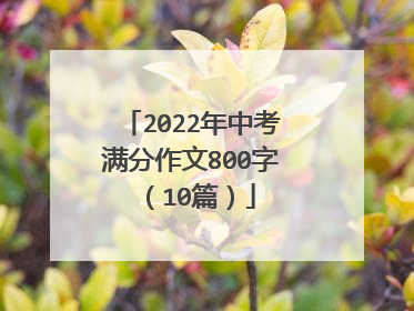 2022年中考满分作文800字(10篇)