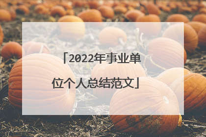 2022年事业单位个人总结范文