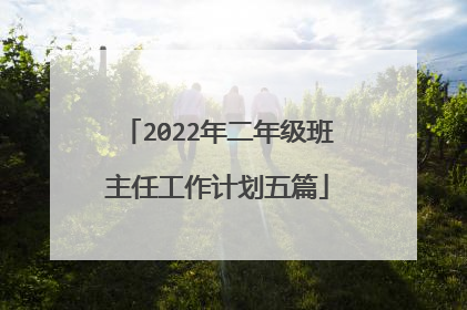 2022年二年级班主任工作计划五篇
