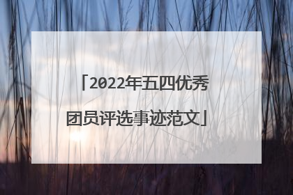 2022年五四优秀团员评选事迹范文