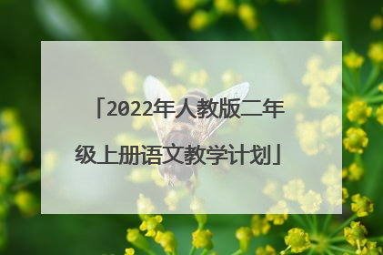 2022年人教版二年级上册语文教学计划