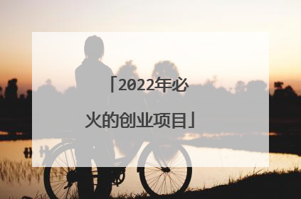2022年必火的创业项目