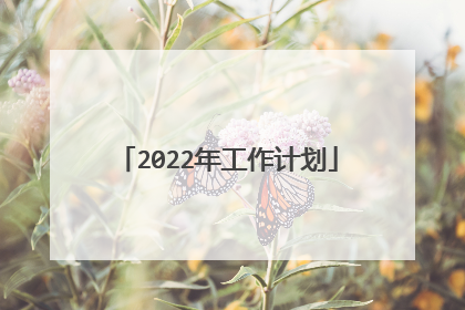 2022年工作计划