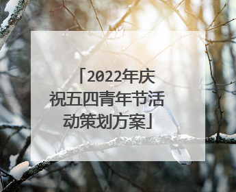 2022年庆祝五四青年节活动策划方案