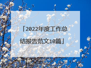 2022年度工作总结报告范文10篇