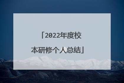 2022年度校本研修个人总结