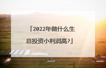 2022年做什么生意投资小利润高?