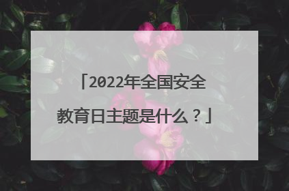 2022年全国安全教育日主题是什么？