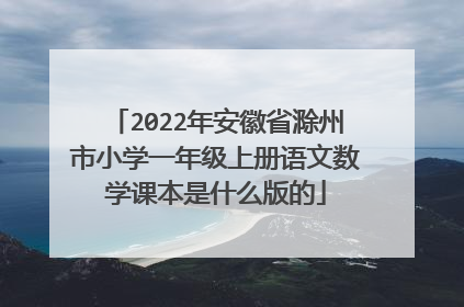 2022年安徽省滁州市小学一年级上册语文数学课本是什么版的