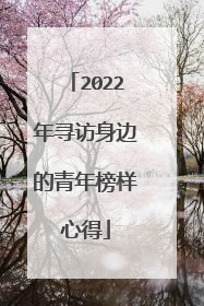 2022年寻访身边的青年榜样心得