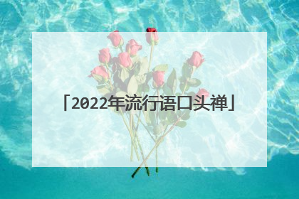 2022年流行语口头禅