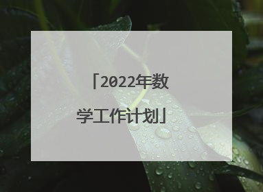 2022年数学工作计划