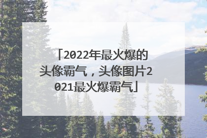 2022年最火爆的头像霸气，头像图片2021最火爆霸气