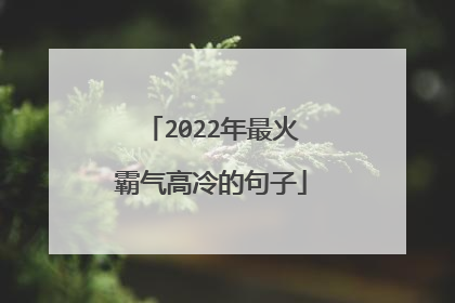 2022年最火霸气高冷的句子