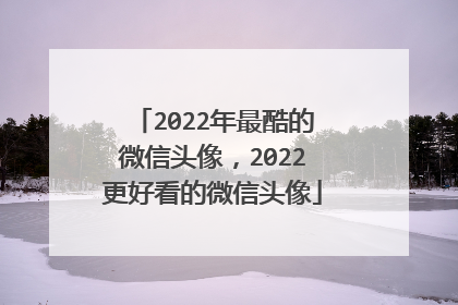 2022年最酷的微信头像,2022更好看的微信头像