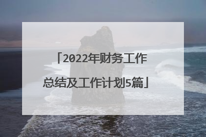 2022年财务工作总结及工作计划5篇