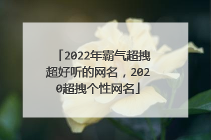 2022年霸气超拽超好听的网名，2020超拽个性网名