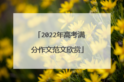 2022年高考满分作文范文欣赏