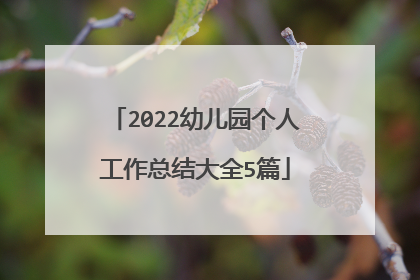 2022幼儿园个人工作总结大全5篇