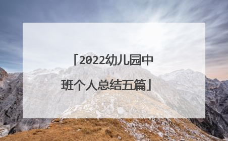 2022幼儿园中班个人总结五篇