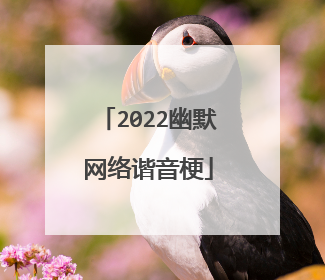 2022幽默网络谐音梗