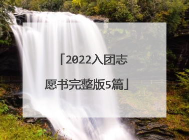 2022入团志愿书完整版5篇