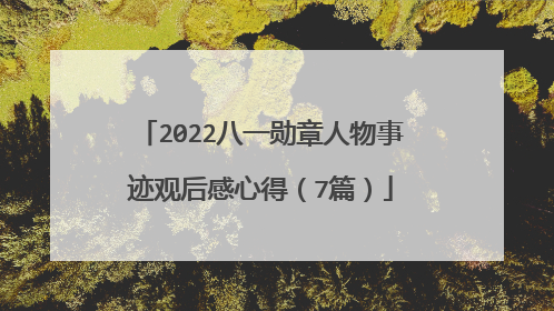 2022八一勋章人物事迹观后感心得(7篇)