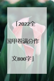 2022全国甲卷满分作文800字