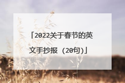 2022关于春节的英文手抄报 (20句)