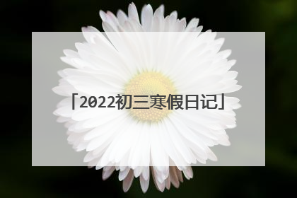 2022初三寒假日记