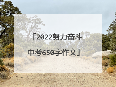 2022努力奋斗中考650字作文