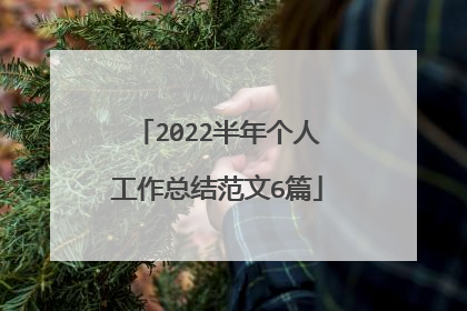 2022半年个人工作总结范文6篇