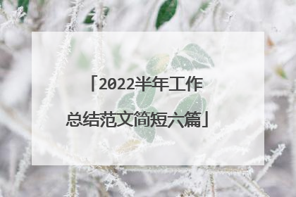 2022半年工作总结范文简短六篇