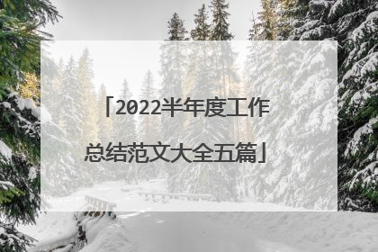 2022半年度工作总结范文大全五篇