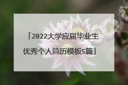 2022大学应届毕业生优秀个人简历模板5篇