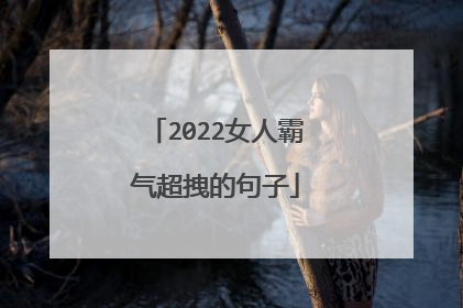 2022女人霸气超拽的句子