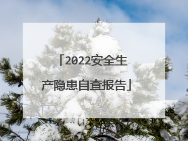 2022安全生产隐患自查报告
