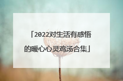 2022对生活有感悟的暖心心灵鸡汤合集