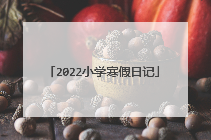 2022小学寒假日记