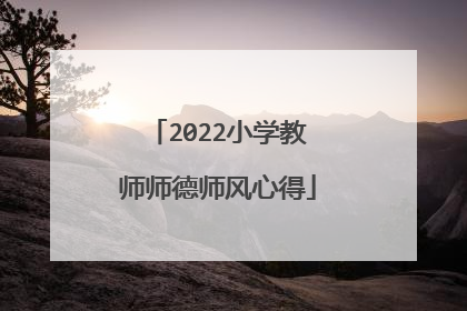 2022小学教师师德师风心得